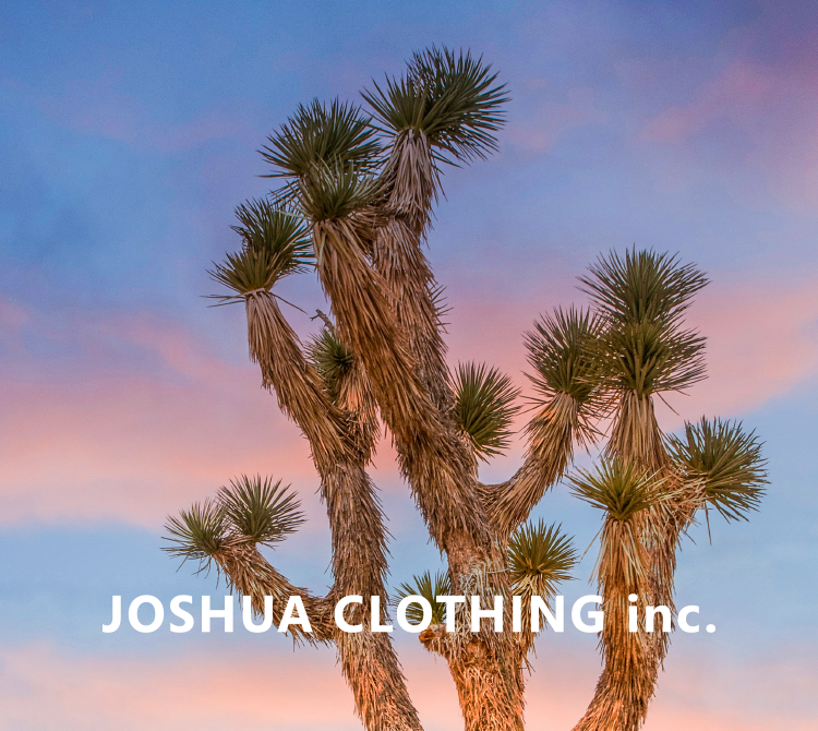 JOSHUA CLOTHING inc.